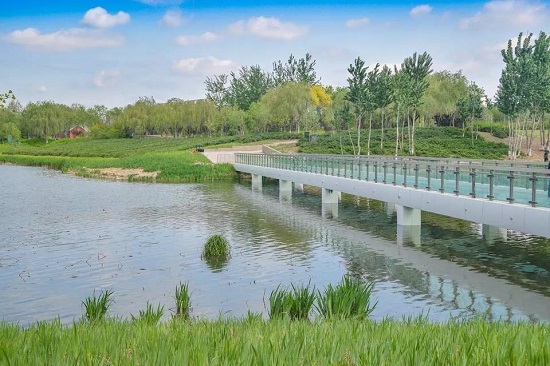 bet365中国备用网址