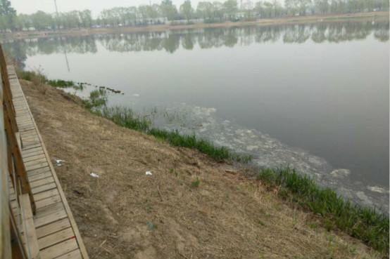 bet365中国备用网址